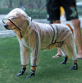 Capa de Chuva para Cães - Transparente