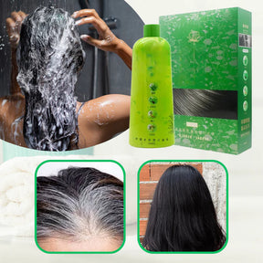 Shampoo Mágico Brimless - Pinta Cabelo