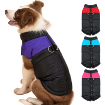 Colete de Frio Sport para Cachorros - Roupinha para Cães Pet