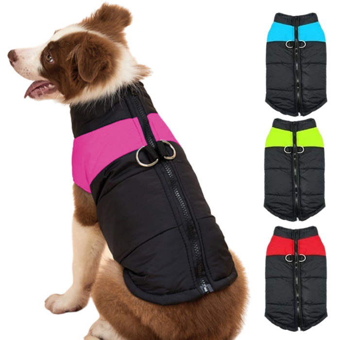 Colete de Frio Sport para Cachorros - Roupinha para Cães Pet