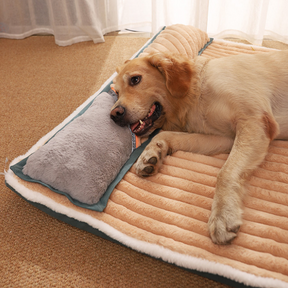 Cama para Cachorros e Gatos Premium Maxi Pet