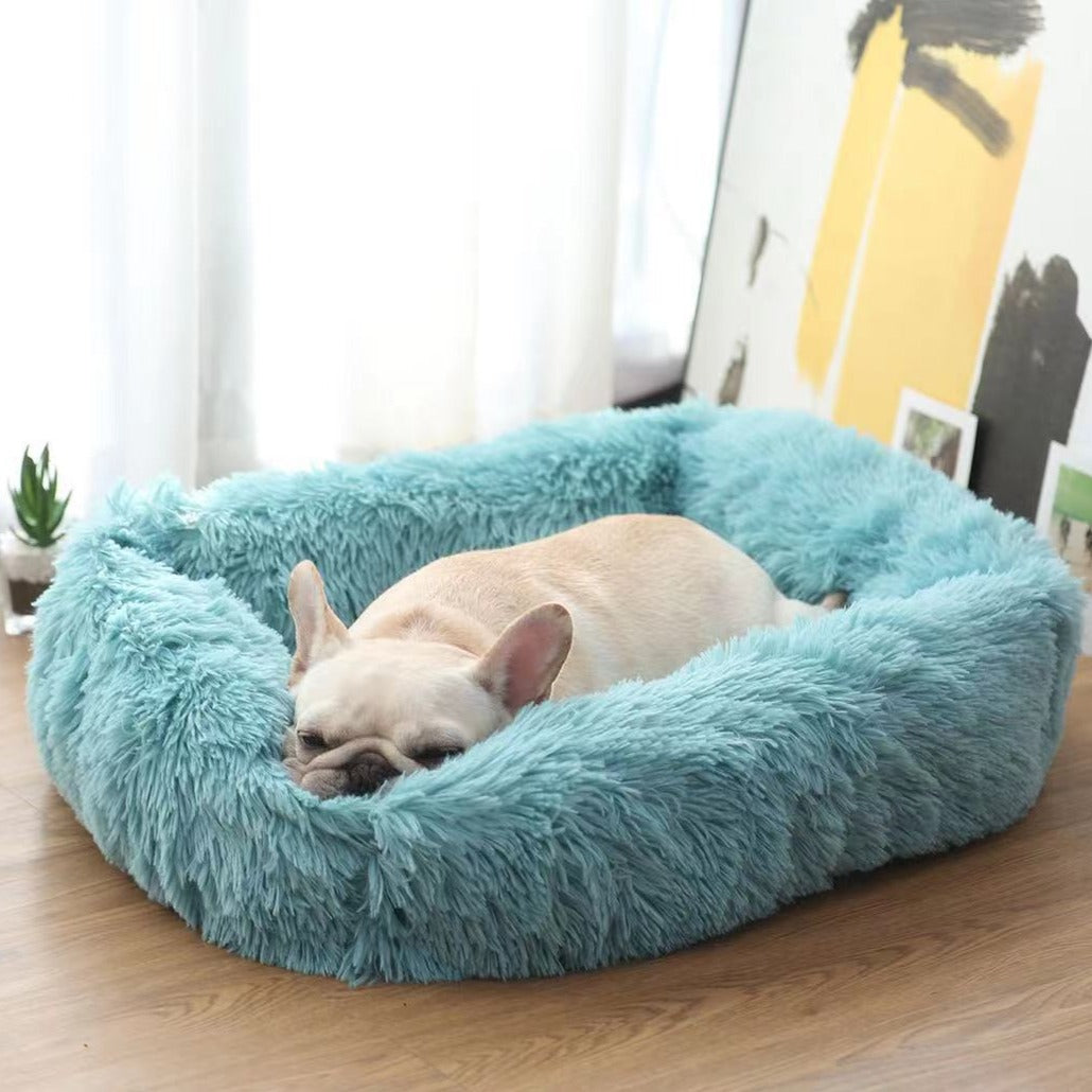 Caminha Pet Sonho - Cama para Cães e Gatos