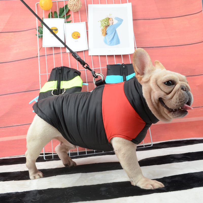 Colete de Frio Sport para Cachorros - Roupinha para Cães Pet