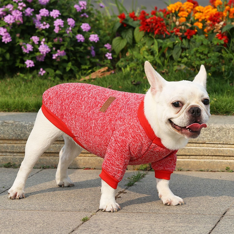 Blusa Cute Pet - Roupinha de frio para cachorro