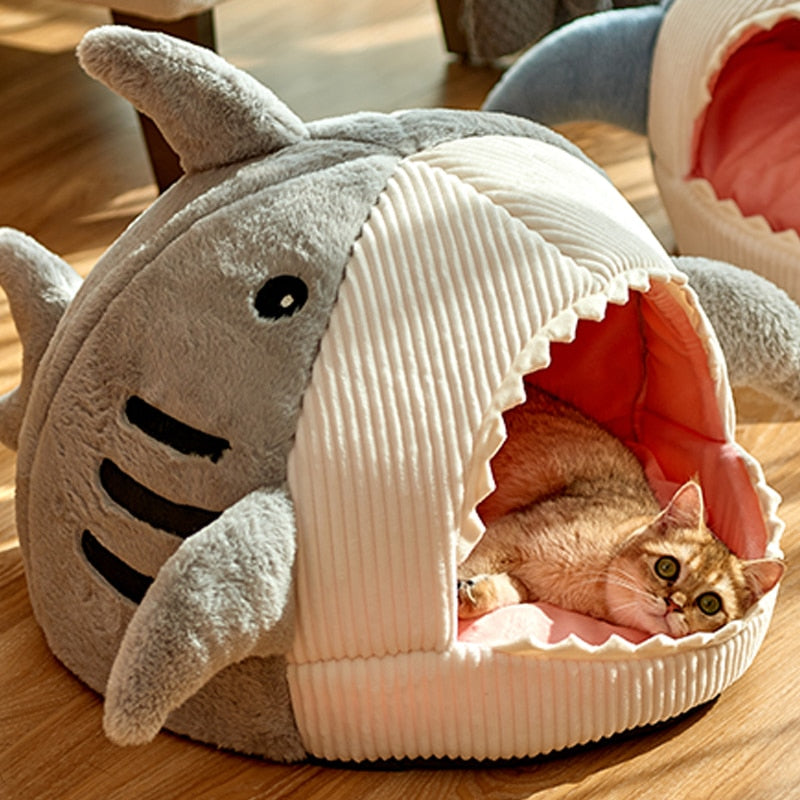 Casinha Pet Shark