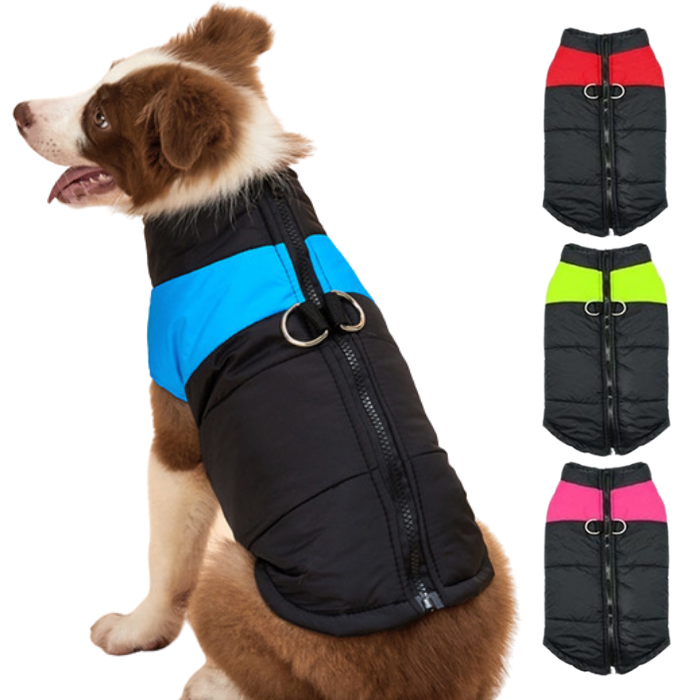 Colete de Frio Sport para Cachorros - Roupinha para Cães Pet