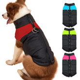 Colete de Frio Sport para Cachorros - Roupinha para Cães Pet