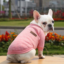 Blusa Cute Pet - Roupinha de frio para cachorro