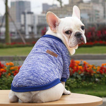 Blusa Cute Pet - Roupinha de frio para cachorro