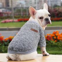 Blusa Cute Pet - Roupinha de frio para cachorro