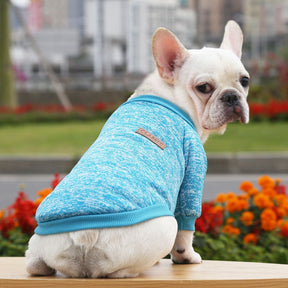 Blusa Cute Pet - Roupinha de frio para cachorro