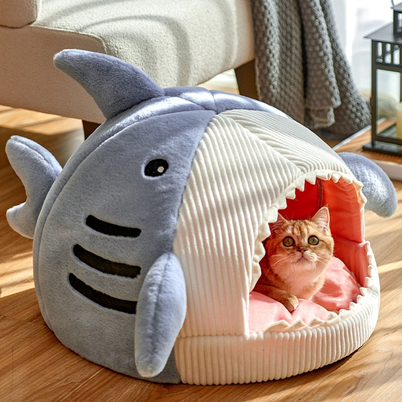 Casinha Pet Shark